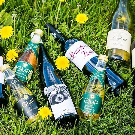 Hotel Gmp Clubhotel Otepää