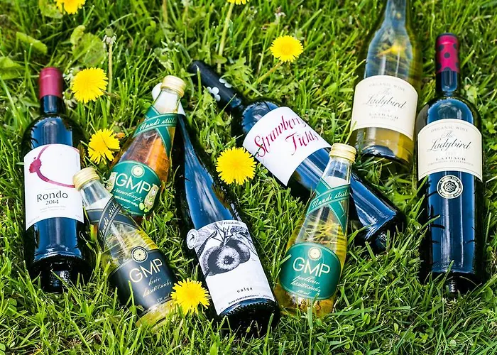 فندق Gmp Clubhotel Otepää